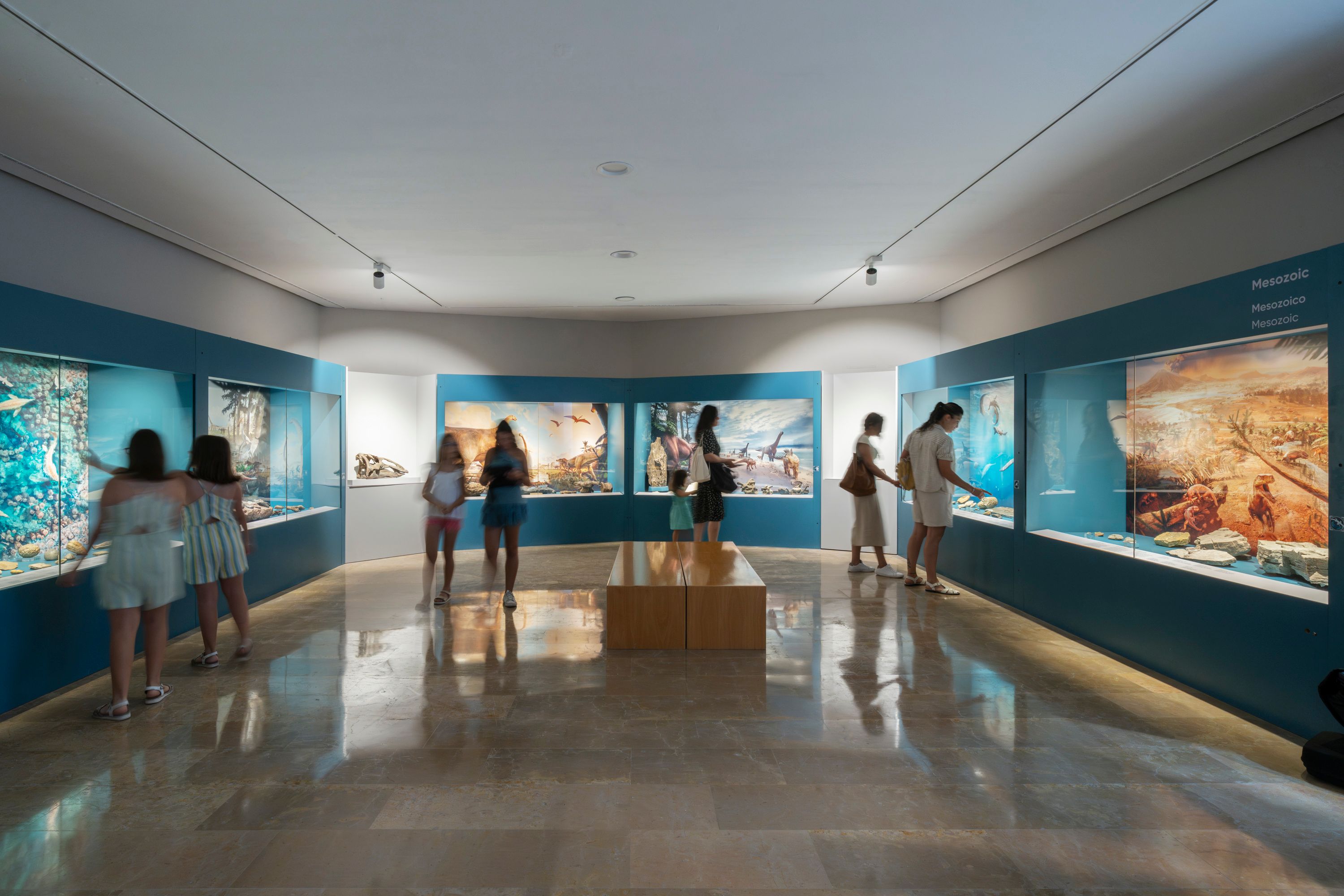 The Natural Science Museum of Valencia