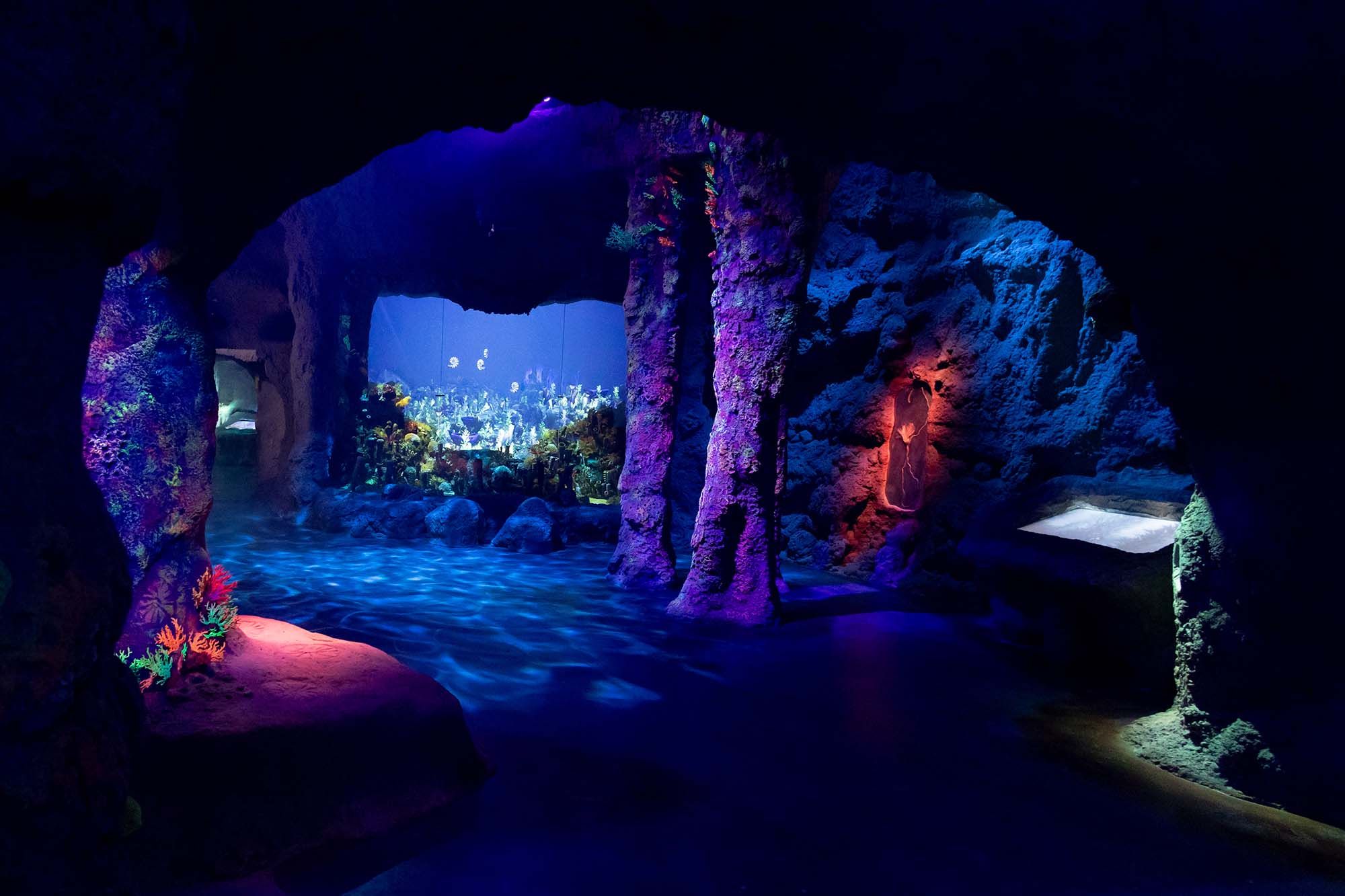 Mar Jurásico en Dinópolis