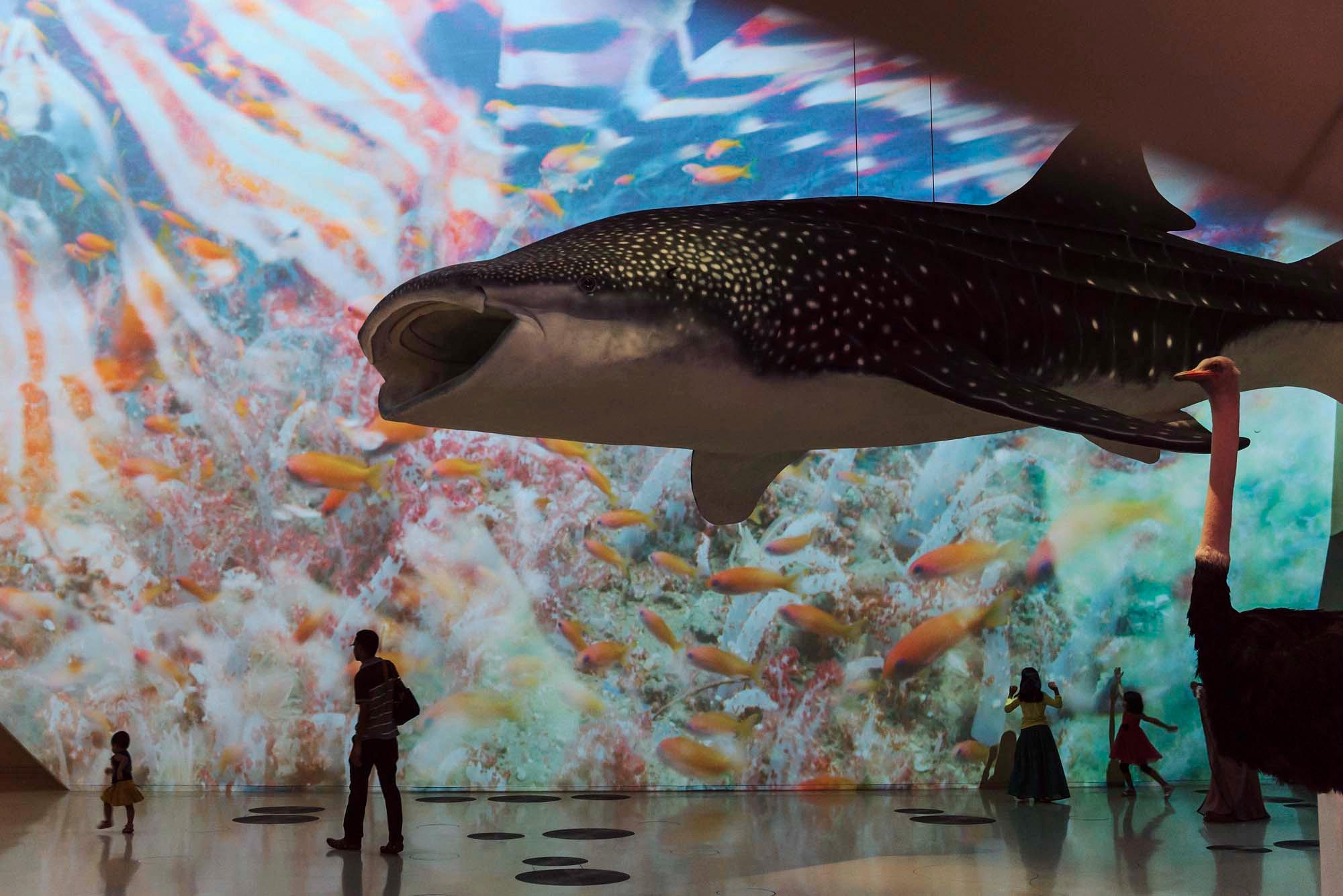 National Museum of Qatar