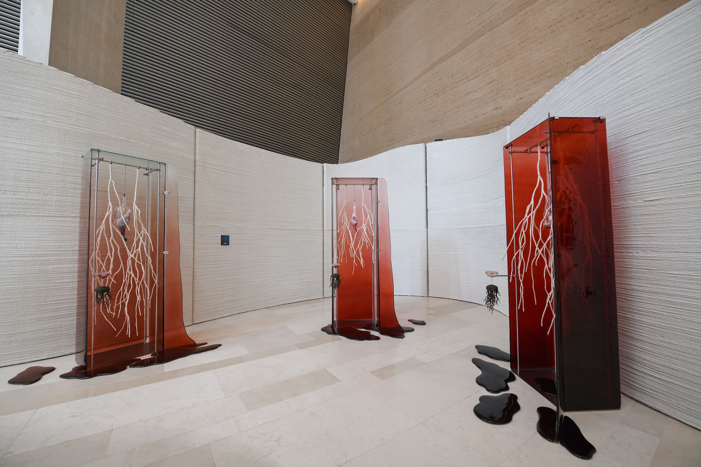 Net Zero Exhibition